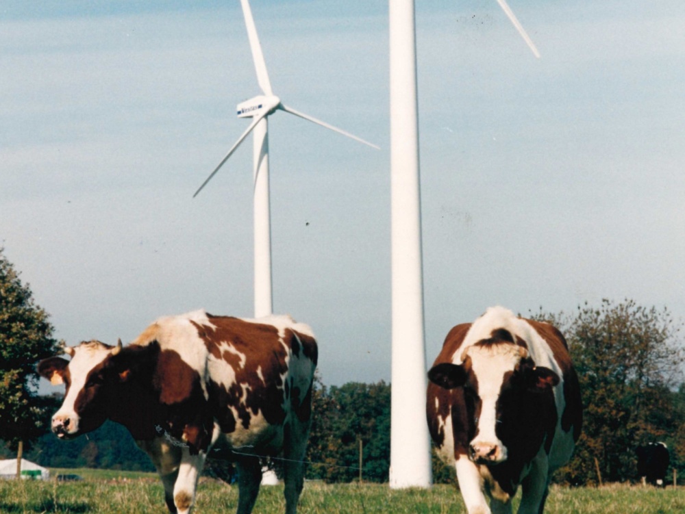 Der Windpark Saar in Freisen 1994 errichtet und bis 2005 sukzessive auf 15 Windkraftanlagen erweitert. 2011 wird ein Repowering beschlossen. Windpark Freisen